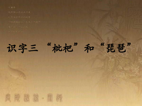 枇杷和琵琶说课