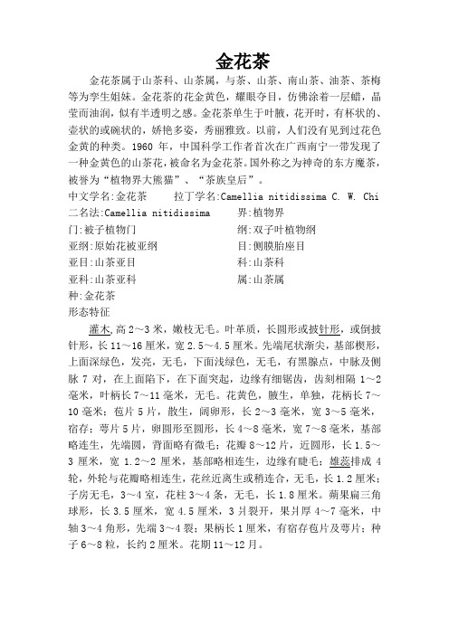 金花茶