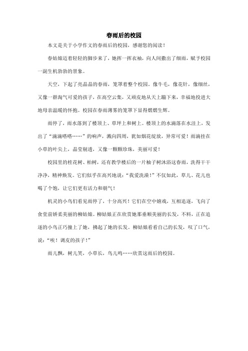 春雨后的校园_小学作文