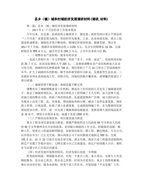 县乡(镇)域和村域经济发展调研材料(调研,材料)