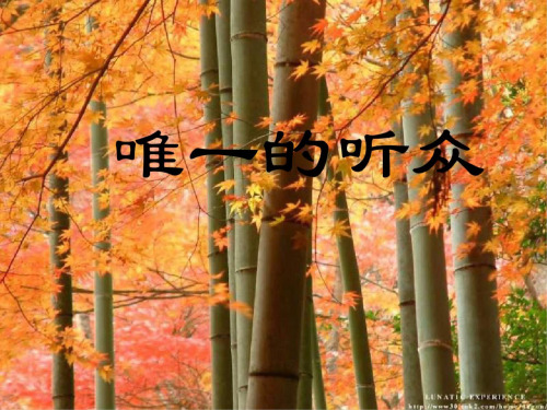 六年级语文唯一的听众2