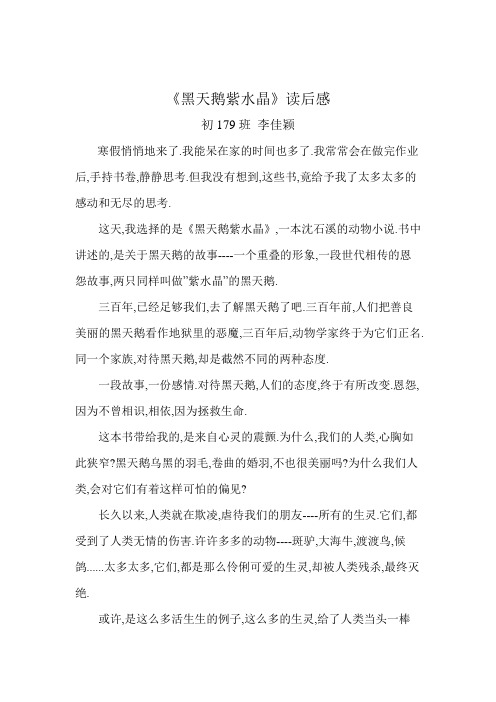 黑天鹅紫水晶