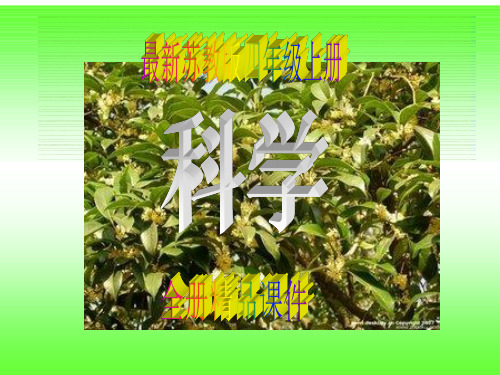 最新最全苏教版四年级上册科学全册课件
