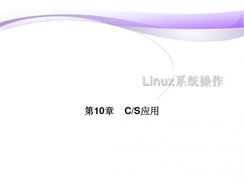 第10章 CS使用
