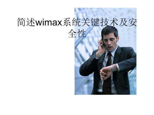 简述wimax系统关键技术及安全性