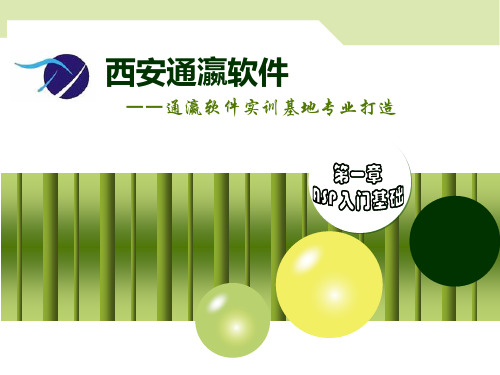 第1章ASP入门基础精品PPT课件