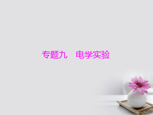 高考物理二轮复习 重点讲练专题九 电学实验课件