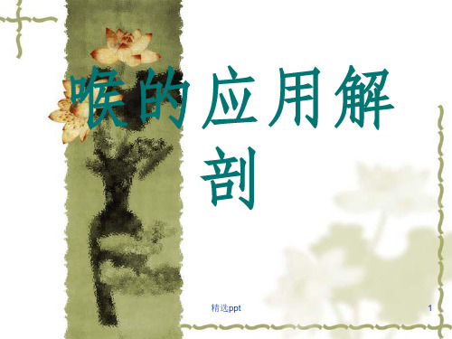 喉解剖及临床PPT课件