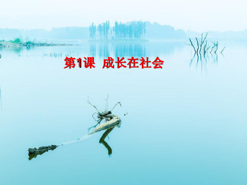 感受社会变化PPT教学课件