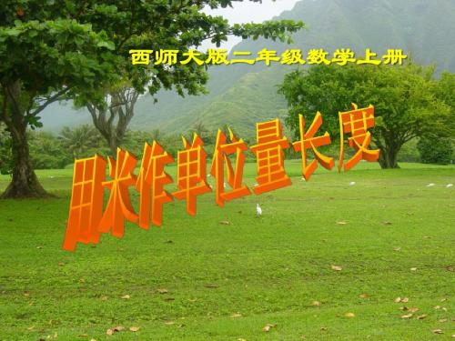 5.2 用米作单位量长度》PPT精品课件1