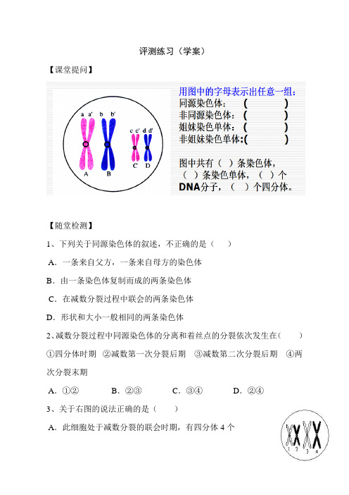 人教版高中生物必修二减数分裂测试