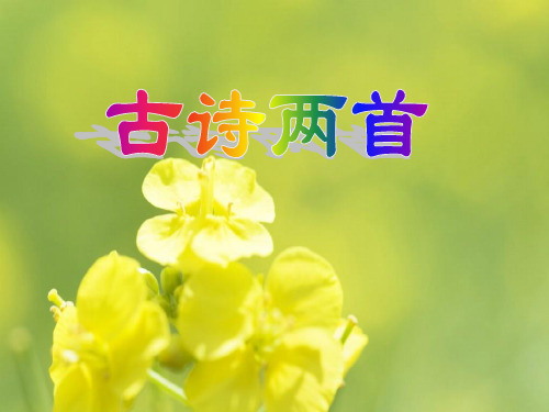 六年级语文古诗两首PPT教学课件