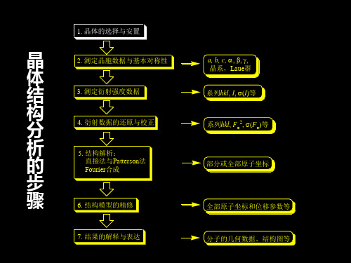 单晶解析--中山大学陈小明