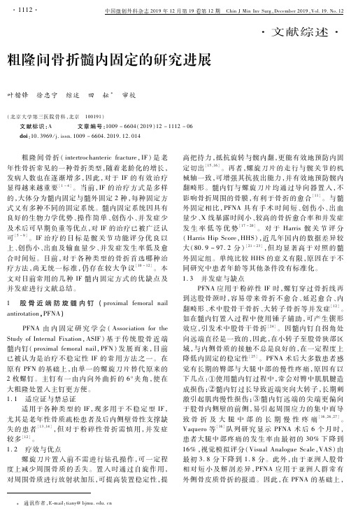 粗隆间骨折髓内固定的研究进展