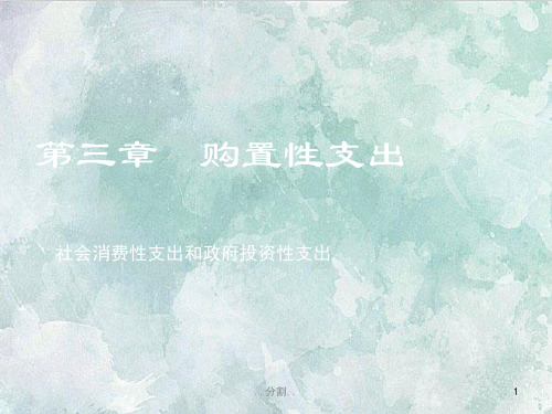 第四讲、购买性支出归纳.ppt