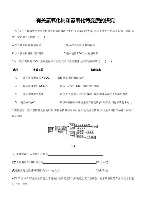 2021年人教版中考化学专题复习训练：有关氢氧化钠和氢氧化钙变质的探究