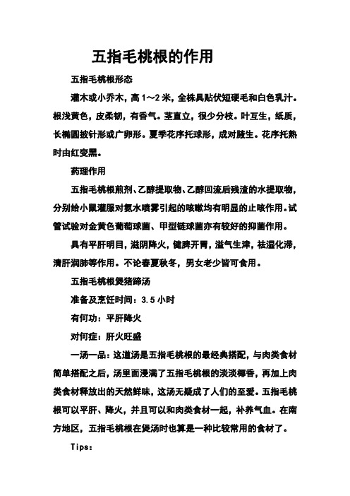 五指毛桃根的作用