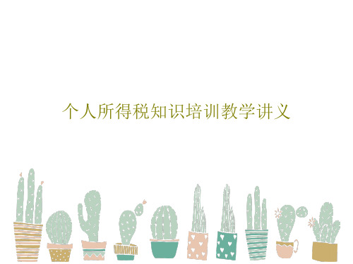 个人所得税知识培训教学讲义共74页文档