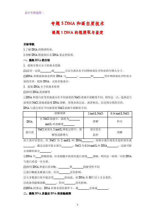 高中生物选修1学案1：5.1 DNA的粗提取与鉴定