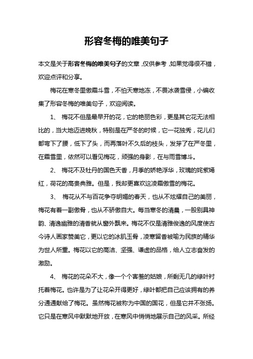 形容冬梅的唯美句子