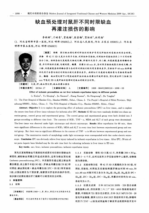 缺血预处理对鼠肝不同时限缺血再灌注损伤的影响
