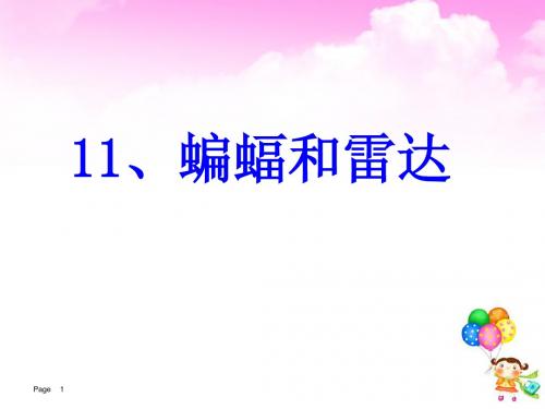 11.蝙蝠和雷达(完整版)