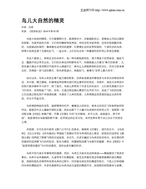 鸟儿大自然的精灵
