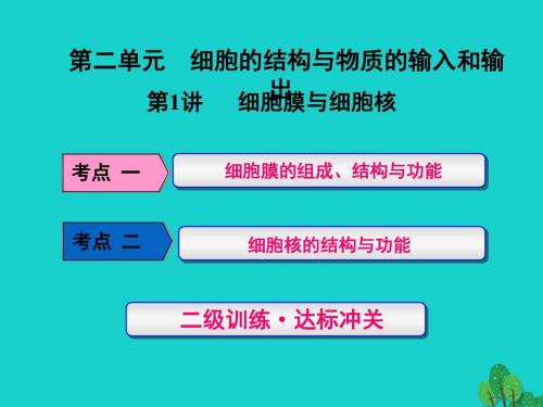 2017版高考生物一轮复习 第二单元 细胞的结构与物质的输入和输出 第1讲 细胞膜与细胞核课件