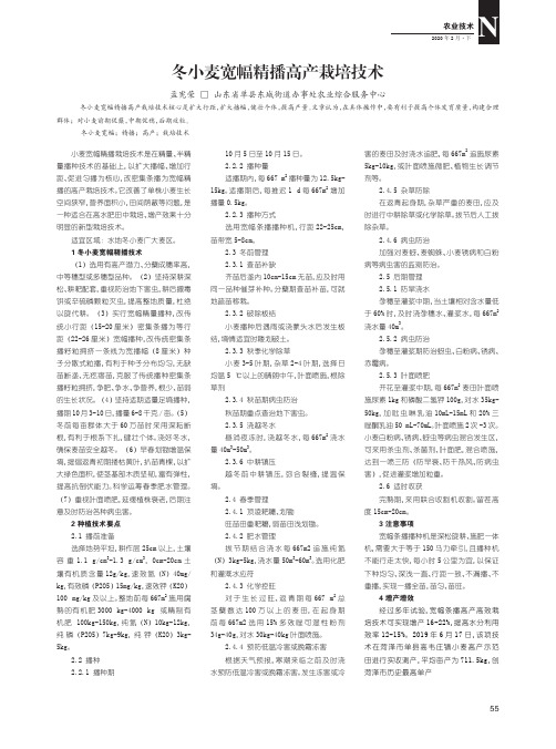 冬小麦宽幅精播高产栽培技术