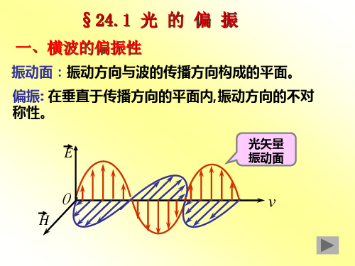 大学物理 光的偏振
