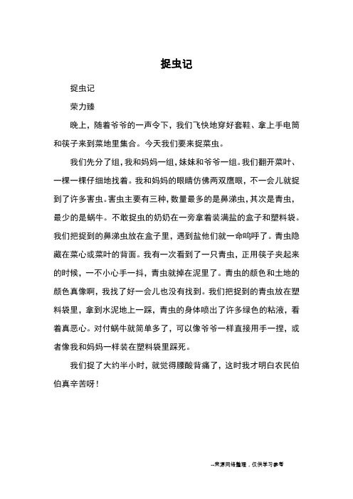 捉虫记_优秀作文