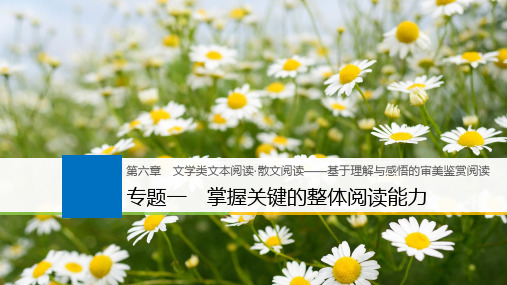 2019届高三一轮复习 散文阅读 课件(75张)