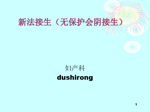复新法接生(无保护会阴接生)PPT课件