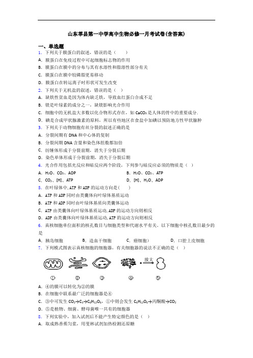 山东莘县第一中学高中生物必修一月考试卷(含答案)