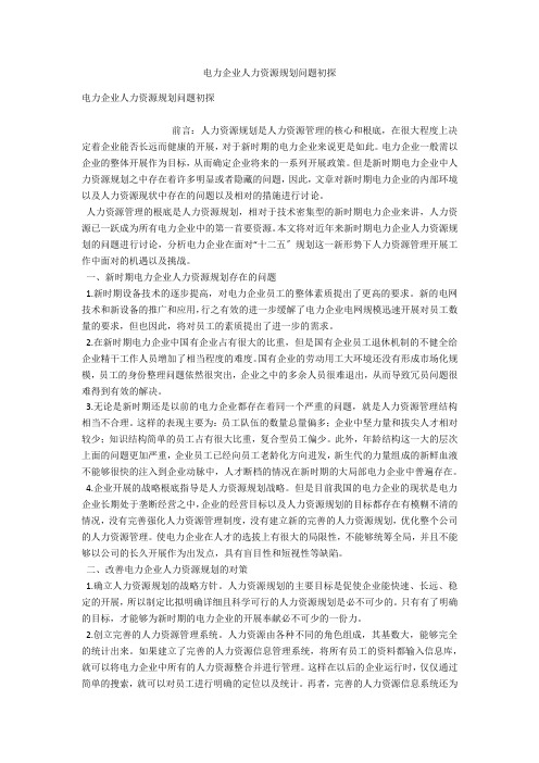 电力企业人力资源规划问题初探 