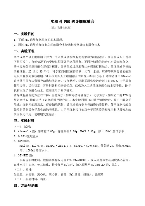 实验四 PEG诱导细胞融合