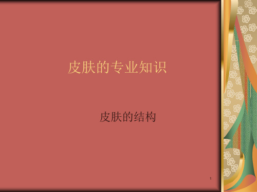 皮肤的专业知识ppt课件