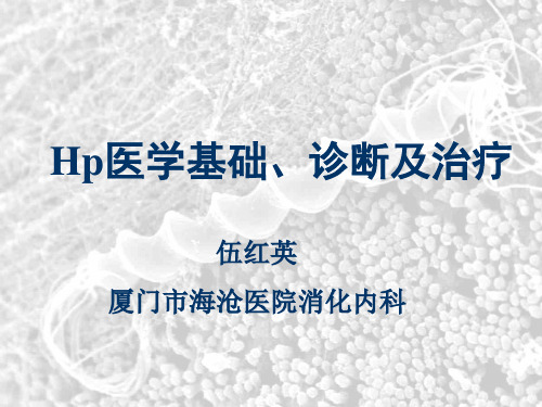 Hp医学基础及治疗(DXY)