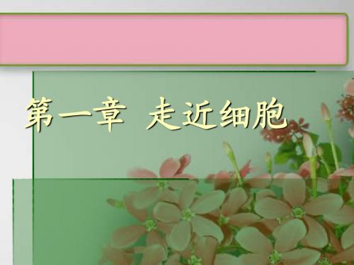 1[1].1 《从生物圈到细胞》 课件13  (人教版必修1)