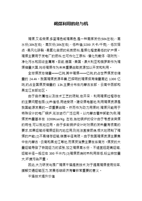 褐煤利用的危与机