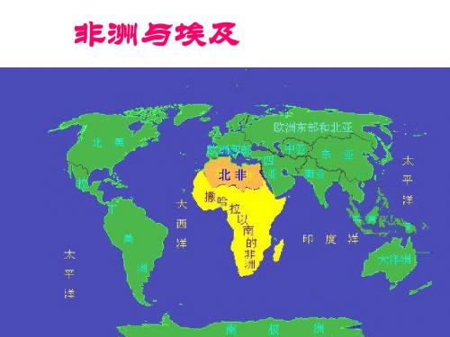 5 非洲和埃及-(课件)