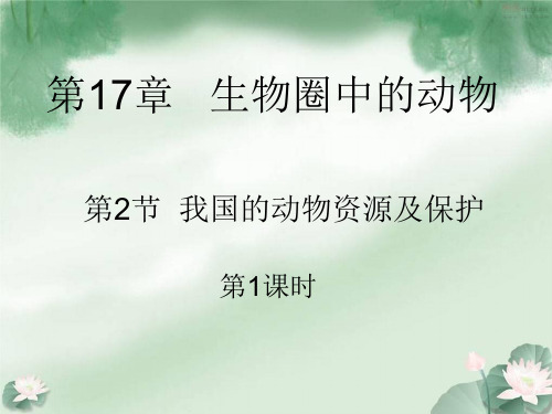 北师大版八年级上册生物  17.2 我国的动物资源及保护 课件   (共53张PPT)