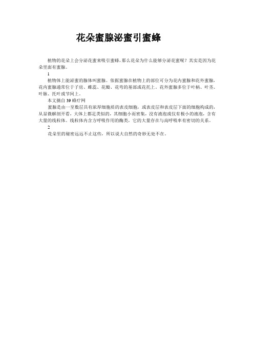 花朵吸引蜜蜂的原因