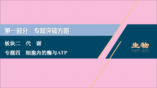 (新高考)2020高考生物二轮复习第一部分专题突破方略板块二代谢专题四细胞内的酶与ATP课件