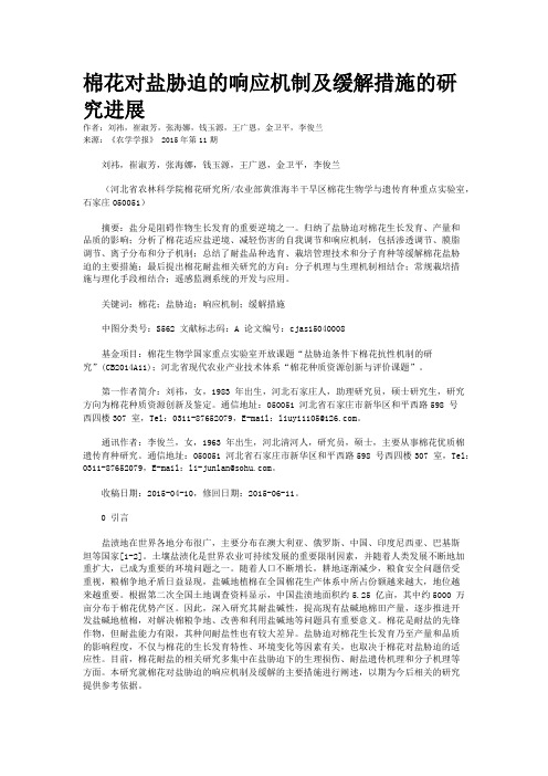 棉花对盐胁迫的响应机制及缓解措施的研究进展