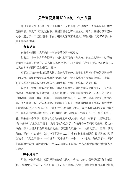 关于寒假见闻600字初中作文5篇