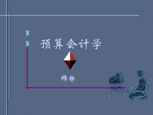预算会计课件.