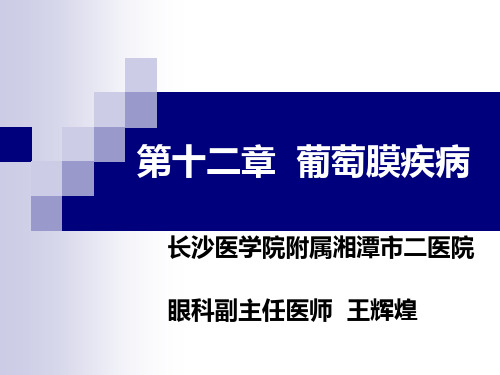 第十二章 葡萄膜疾病