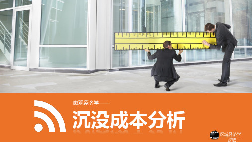 华师  沉没成本分析