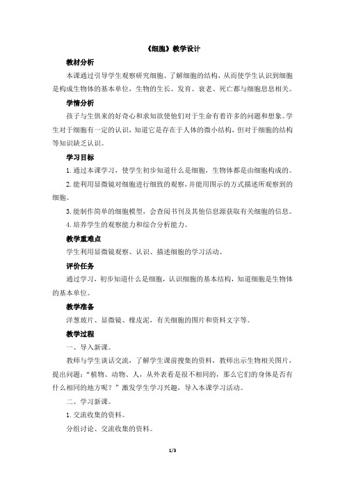 青岛版小学六年级科学下册《细胞》教学设计
